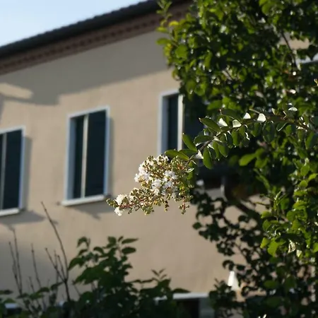 게스트하우스 Antico Alveo 3*