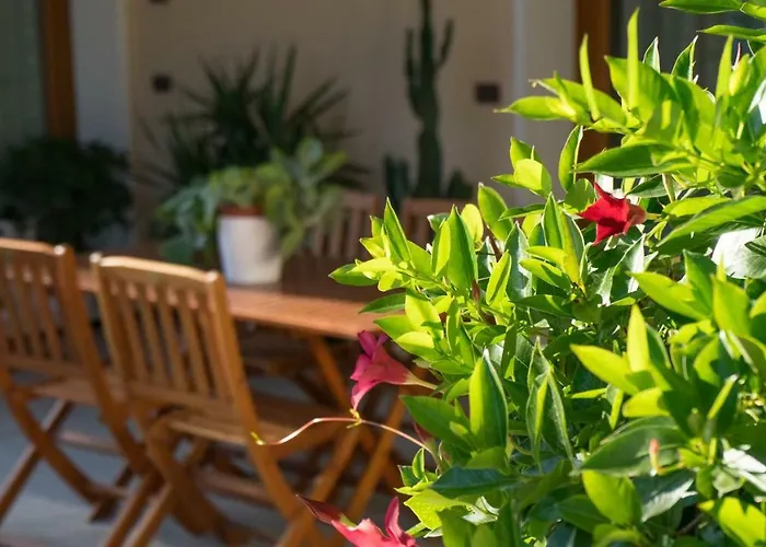 Antico Alveo 캄포노가라