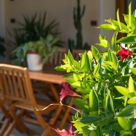 Antico Alveo Camponogara